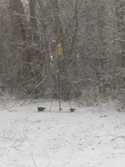 Bird Feeders