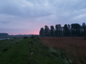 Lakenheath RSPB
