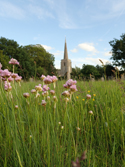 Tall Thrift