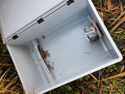 Mammal Box
