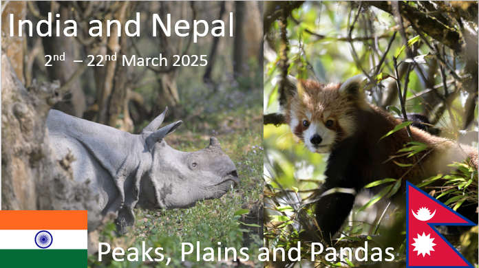 India / Nepal Mar 2025