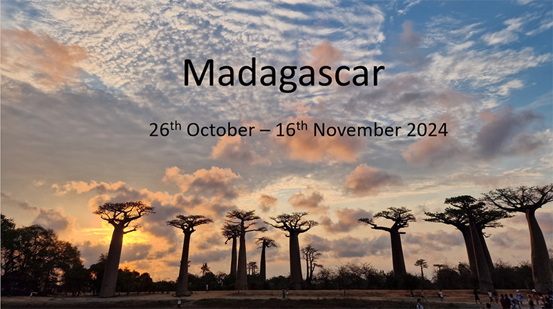 Madagascar Nov 2024