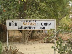 Bird Safari Camp