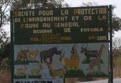 Reserve de Fathala