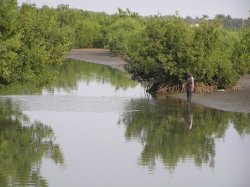 Kotu Creek