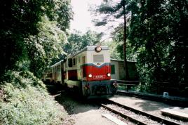 Children's Railway