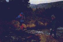 Carn Daimh