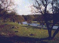 The Strid