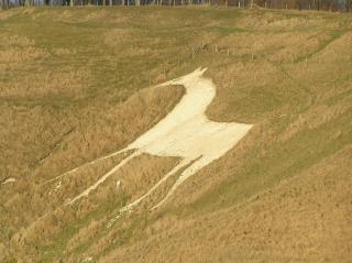 The Horse