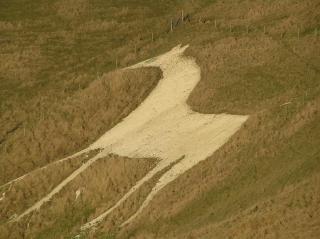 The Horse