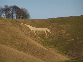 The Horse