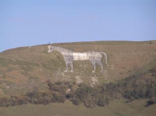 The Horse