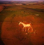 Aerial Pic