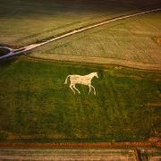 Aerial Pic