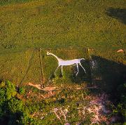 Aerial Pic