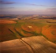 Aerial Pic