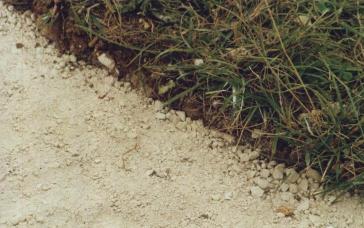 The Filled Trenches