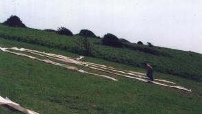 The Hawk Mock Up