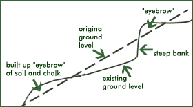 Eyebrow formation
