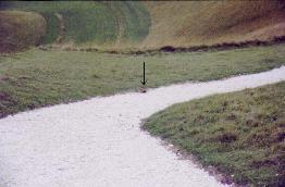 Uffington Horse Drainage