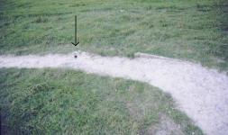Uffington Horse Drainage