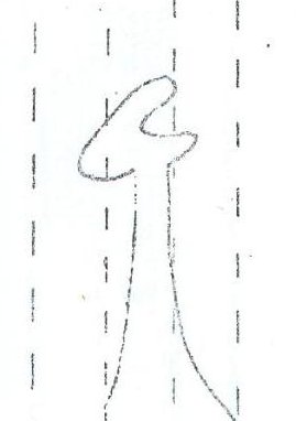 Outline from Photo
