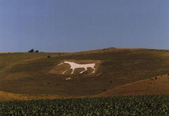 The Alton Barnes Horse from a Distance