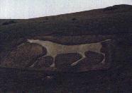 The Alton Barnes Horse from a Distance
