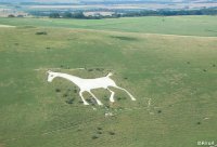 Aerial Pic