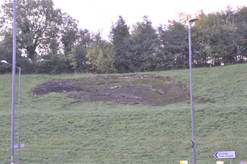 Prudhoe Badger