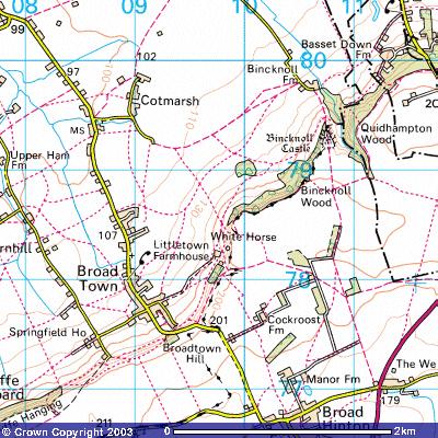 Map of the Position of Broad Town Horse