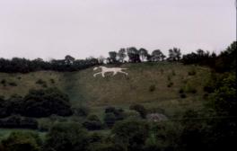 Broad Town Horse from the Village