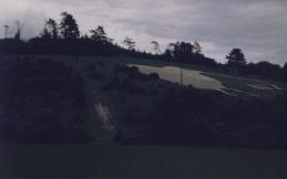 The Kiwi from a Distance