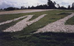 The NZ letters