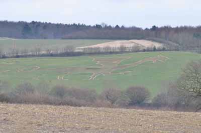 Bures Dragon