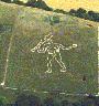 Cerne Abbas Giant from the Air