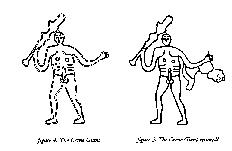 Theories suggest that the Gian once Had a Cloak