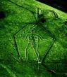 Cerne Abbas Giant from the Air