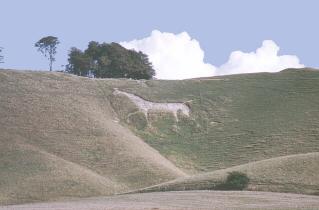 The Horse Before Restoration
