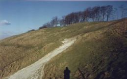 Approaching the Horse