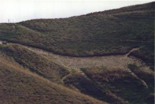 The Horse from a distance