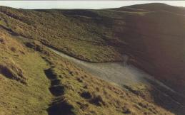 The Horse from a distance