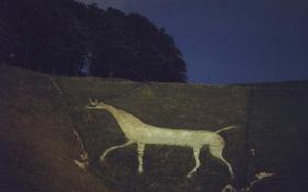 The Horse from a distance
