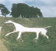 The Horse After Restoration