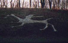The Dragon