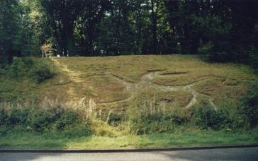 The Dragon's Before Starting But after Removing the Undergrowth