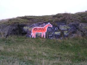 Cleadon Horse