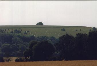 The Map from a Distance