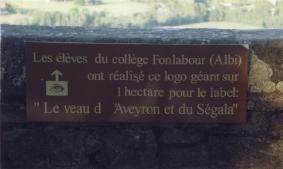 Inscription