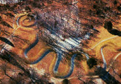 Ohio Serpent